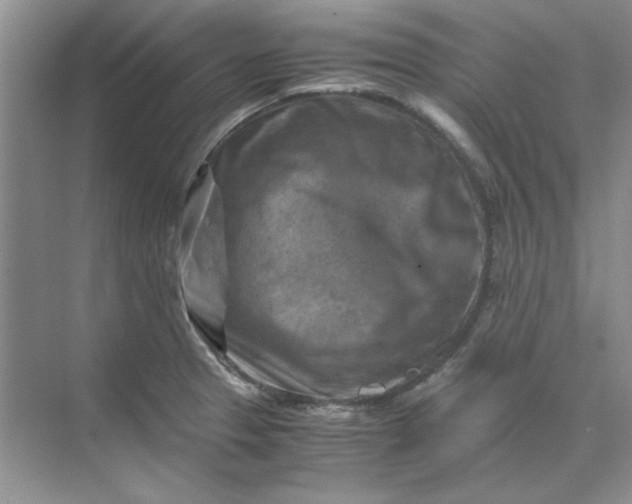 X0000070191329200606091522