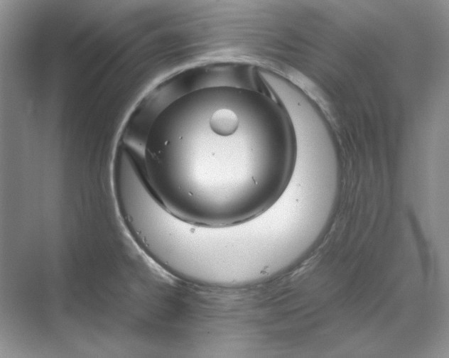 X0000070191334200606091522