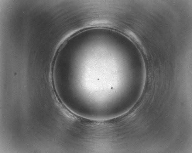 X0000070191336200606091522