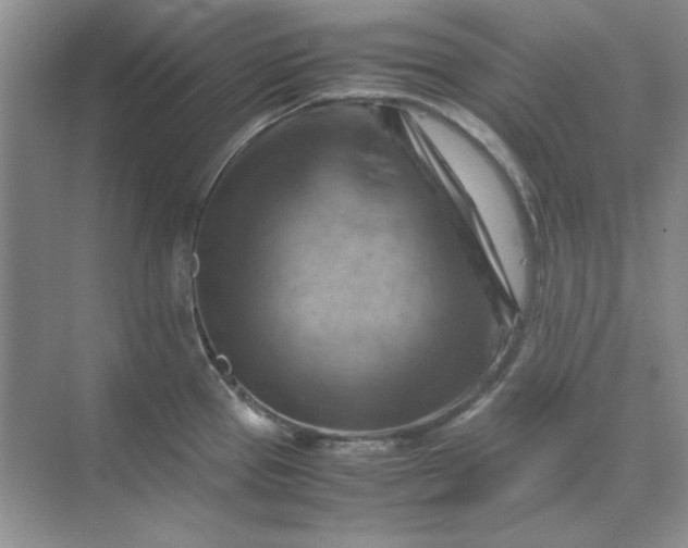 X0000070191337200606091522