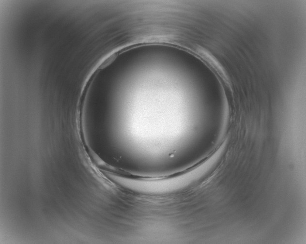 X0000070191340200606091523