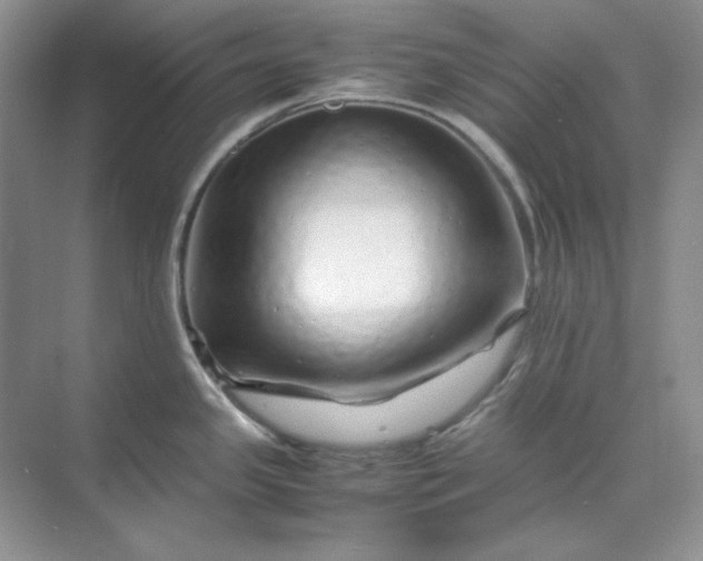 X0000070191341200606091523