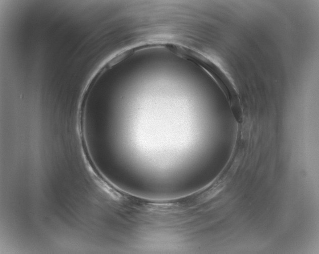 X0000070191342200606091523