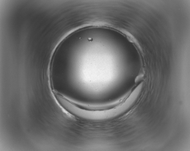 X0000070191343200606091523