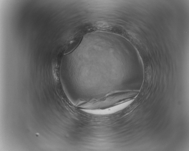 X0000070191346200606091522