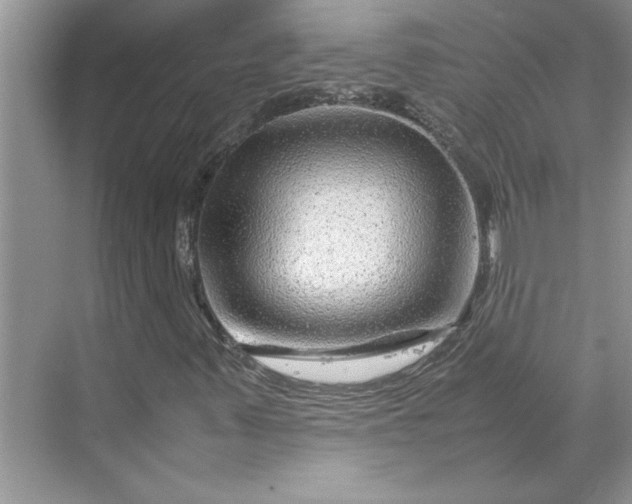 X0000070191347200606091522