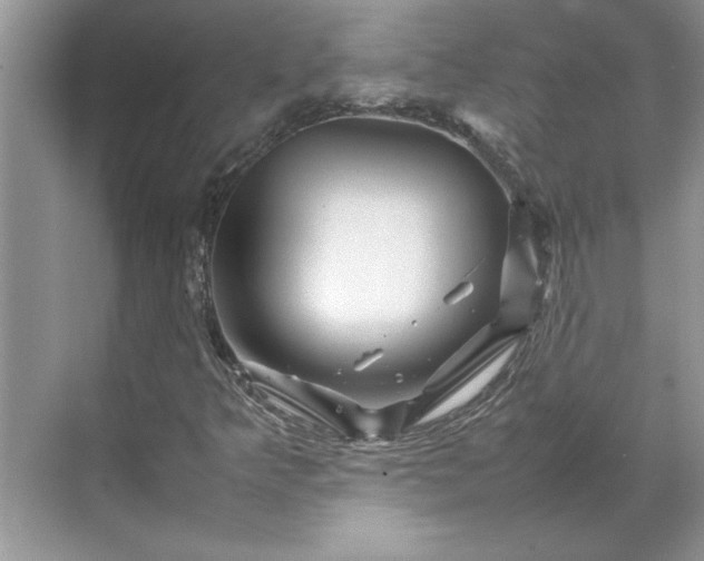 X0000070191349200606091522