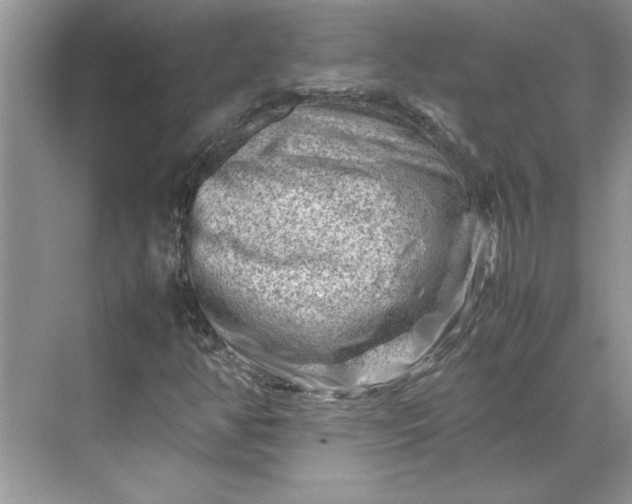 X0000070191350200606091522