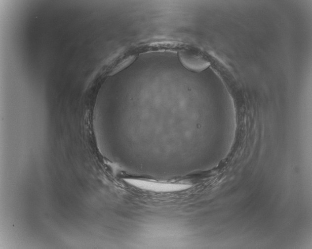 X0000070191351200606091522