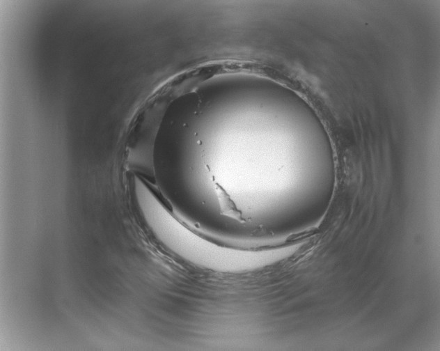 X0000070191352200606091522