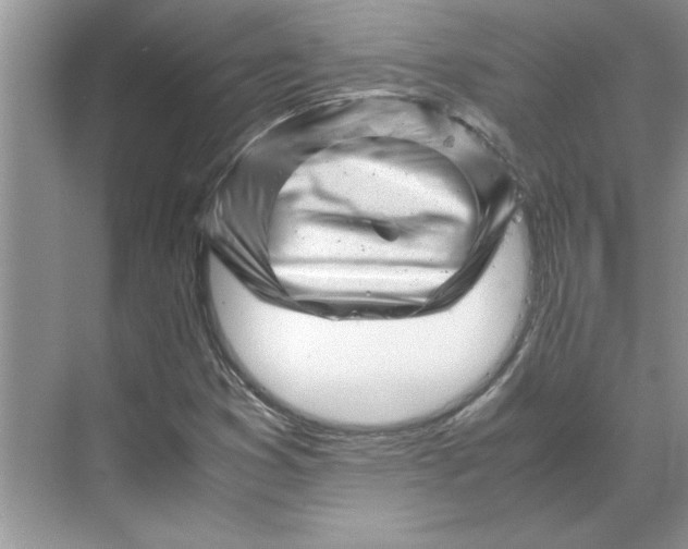 X0000070191353200606091522