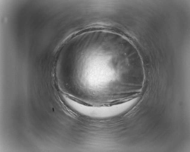 X0000070191355200606091522