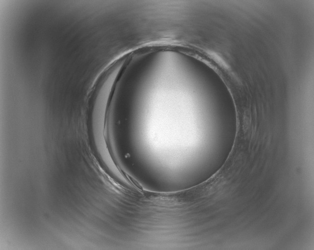 X0000070191356200606091522