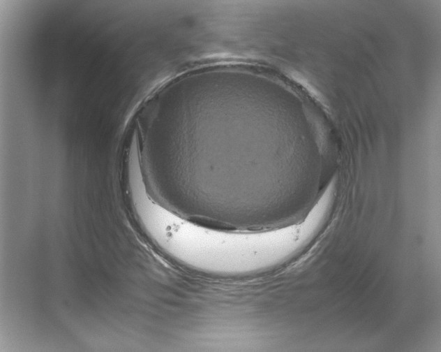 X0000070191357200606091522