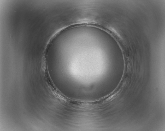 X0000070191358200606091522