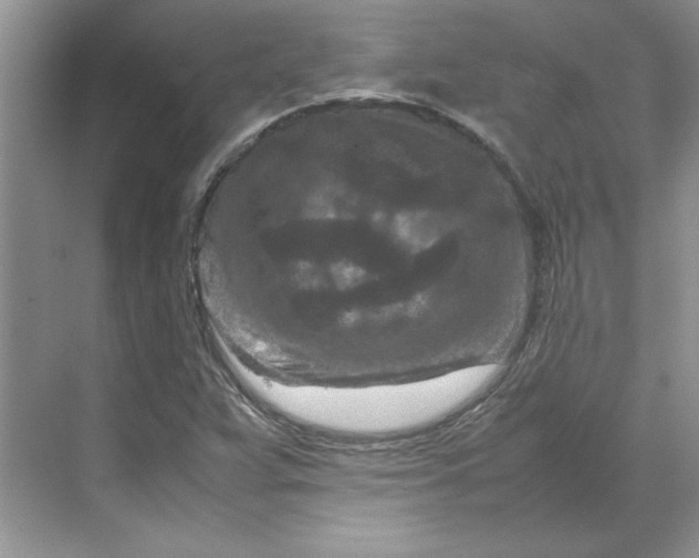 X0000070191359200606091522