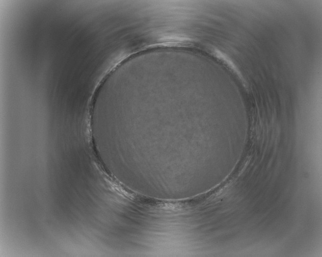 X0000070191362200606091522