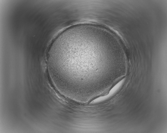 X0000070191363200606091521