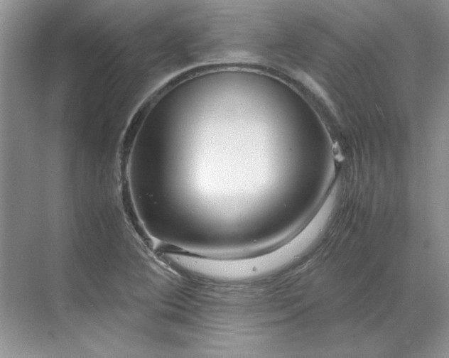 X0000070191364200606091521