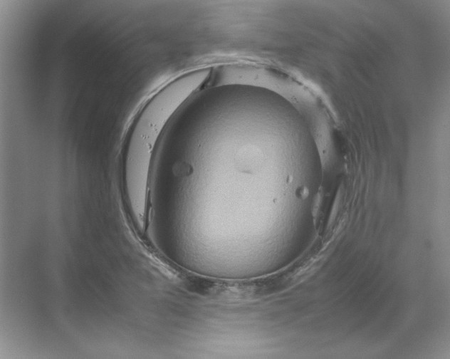 X0000070191365200606091521