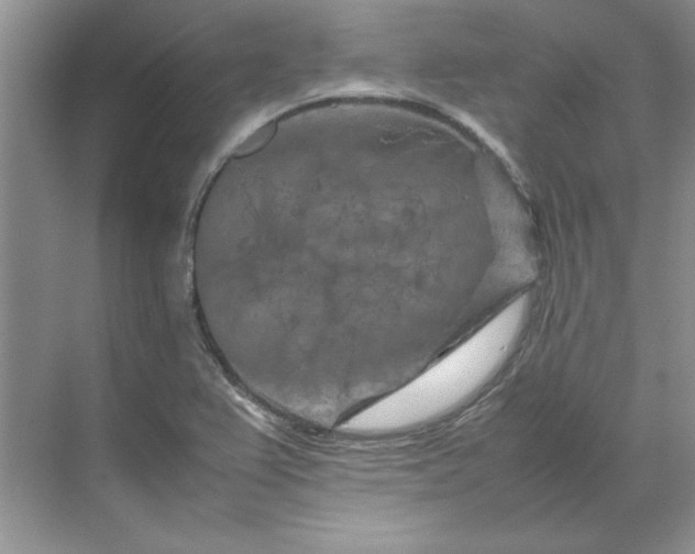 X0000070191367200606091521