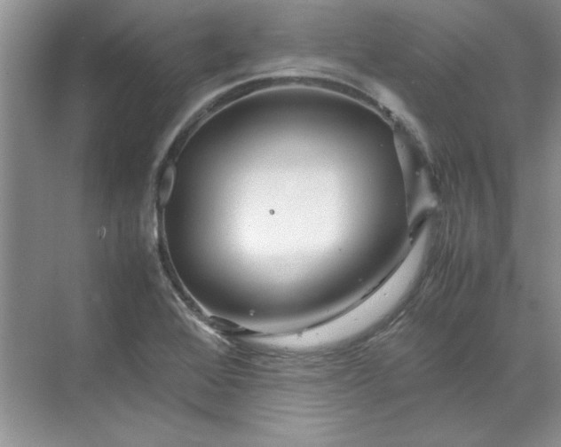 X0000070191368200606091521