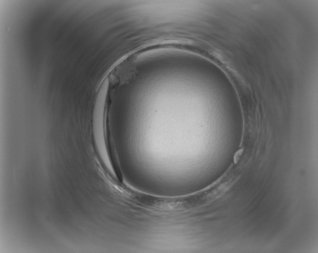 X0000070191369200606091521