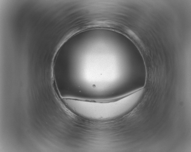 X0000070191370200606091521