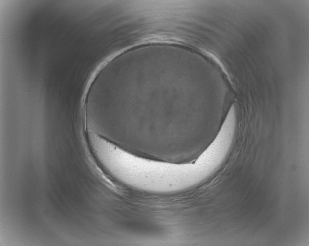 X0000070191371200606091521