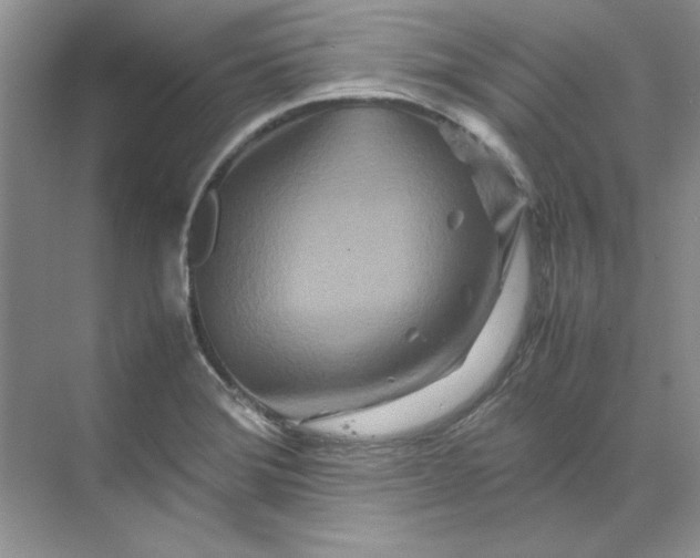 X0000070191372200606091521