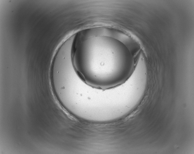 X0000070191373200606091521