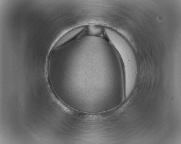 X0000070191374200606091521