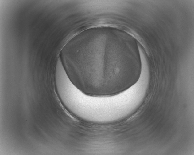 X0000070191377200606091521