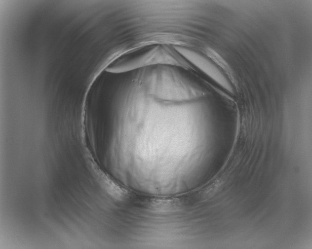 X0000070191378200606091521