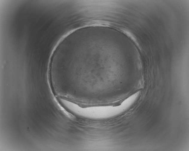 X0000070191379200606091521