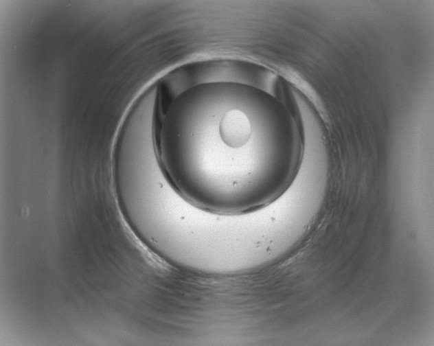 X0000070191380200606091521