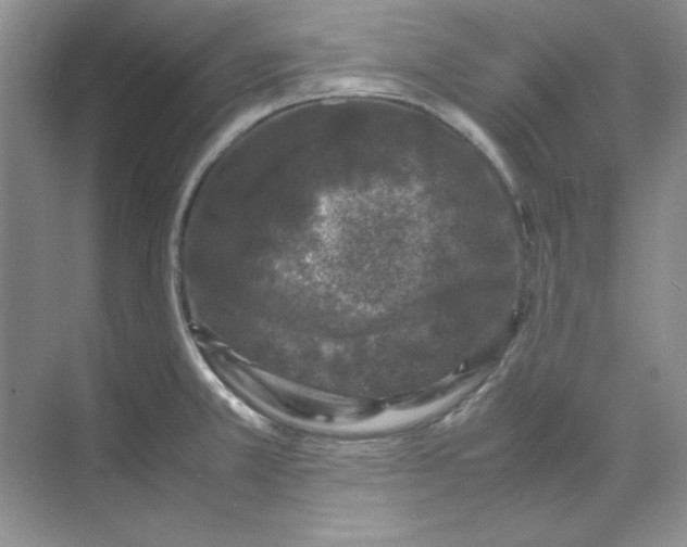 X0000070191381200606091521