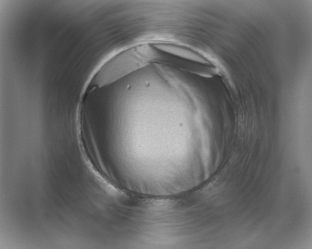 X0000070191382200606091521