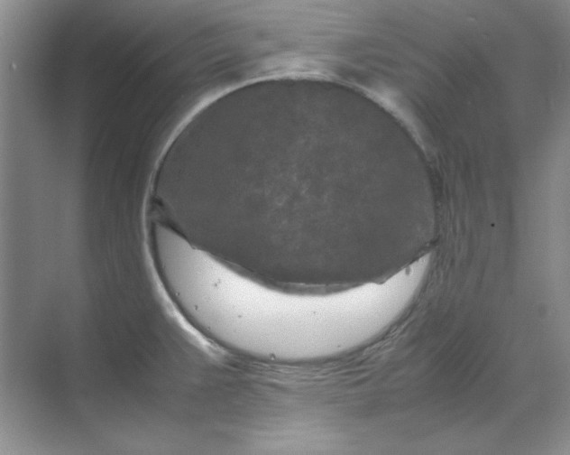 X0000070191383200606091521