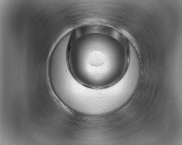 X0000070191384200606091521