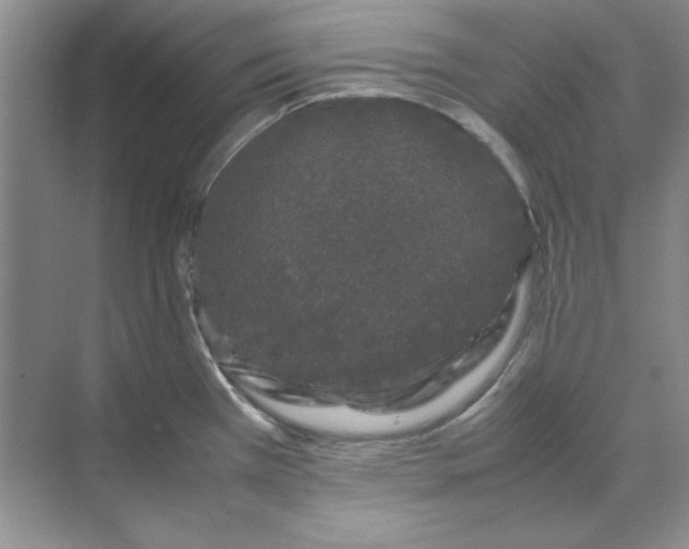 X0000070191385200606091521