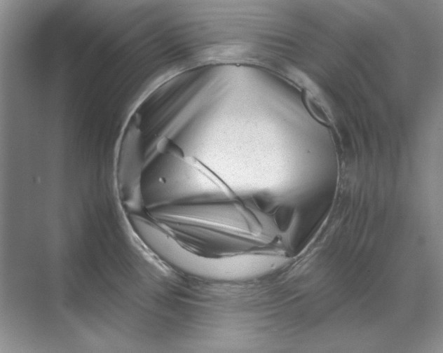 X0000070191386200606091521