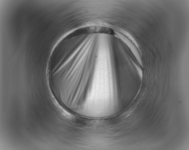 X0000070191387200606091521