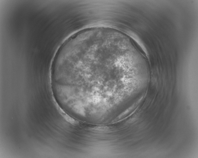 X0000070191388200606091521