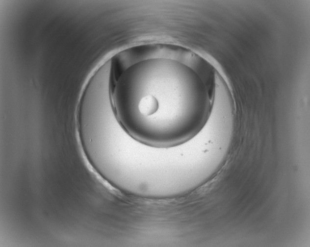 X0000070191389200606091521