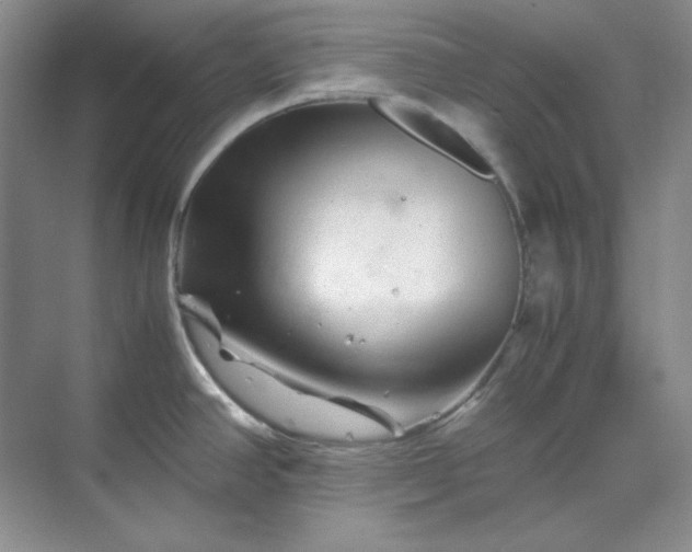 X0000070191390200606091521