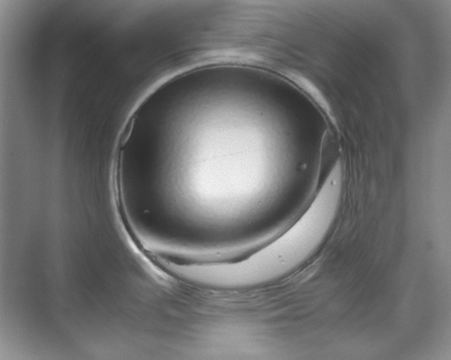 X0000070191391200606091521