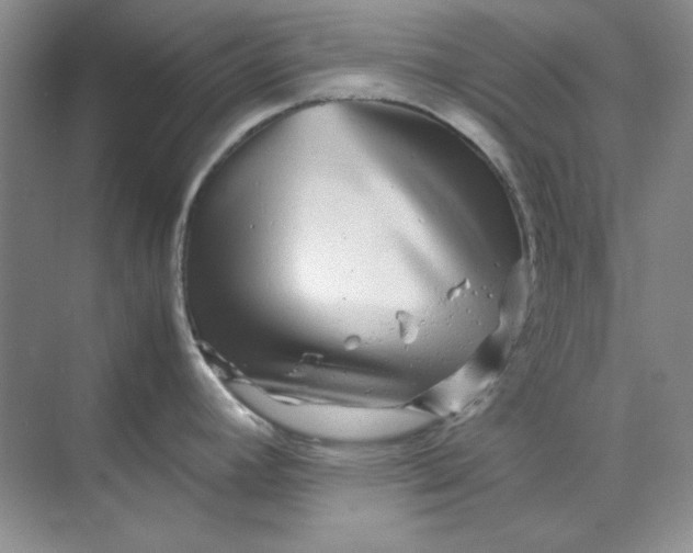 X0000070191392200606091521