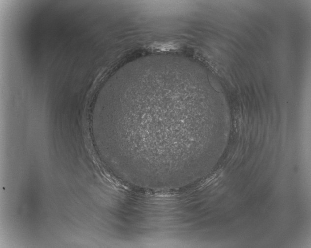 X0000070191393200606091520