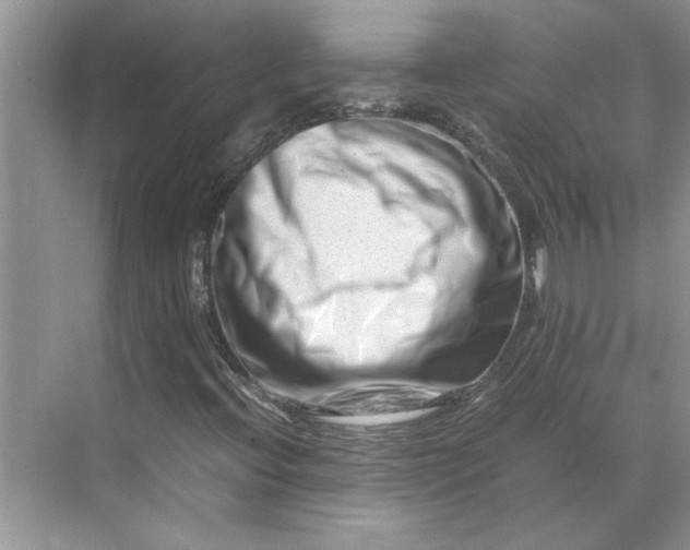 X0000070191396200606091520